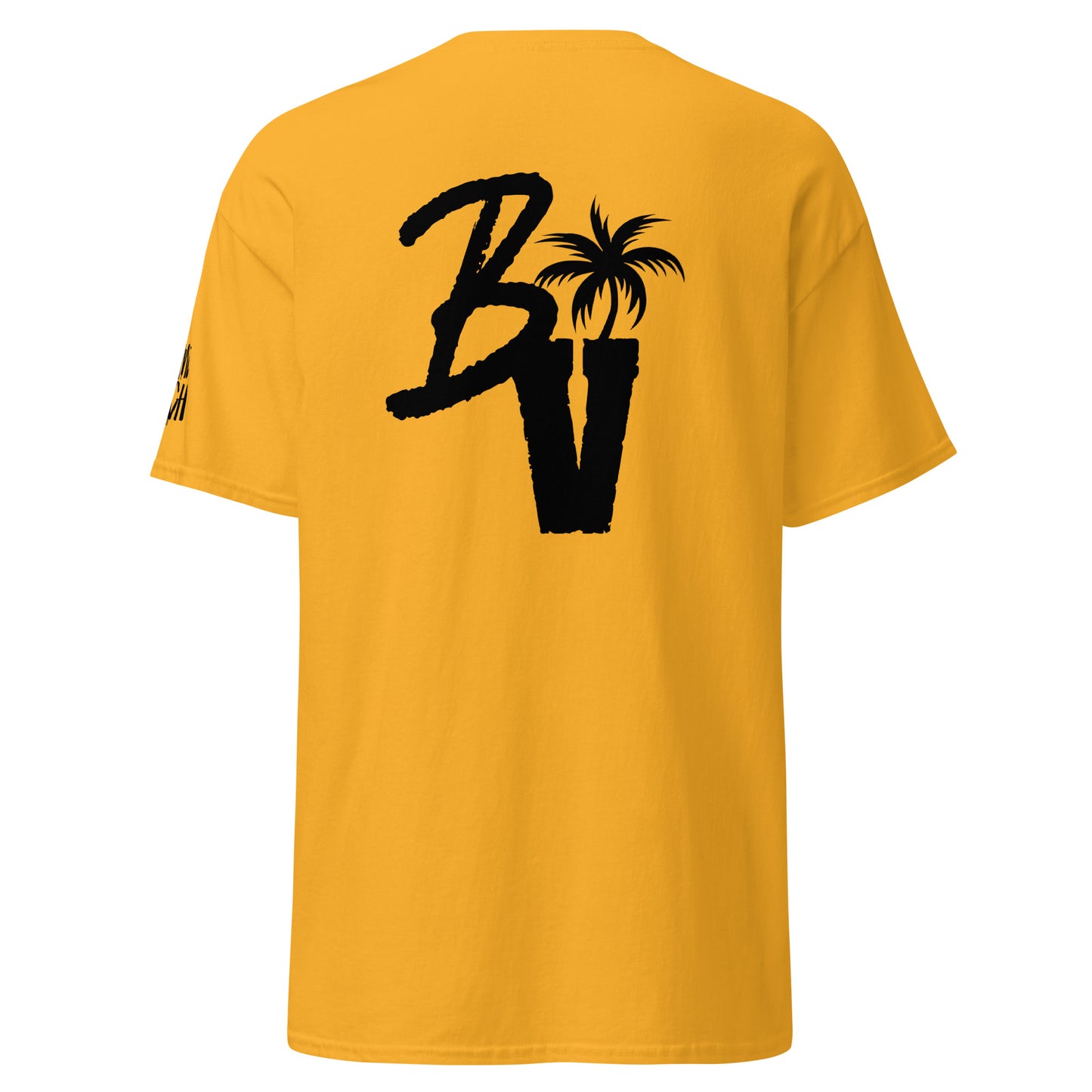 Billionaire Vibe$ by Young & Rich Men's classic tee