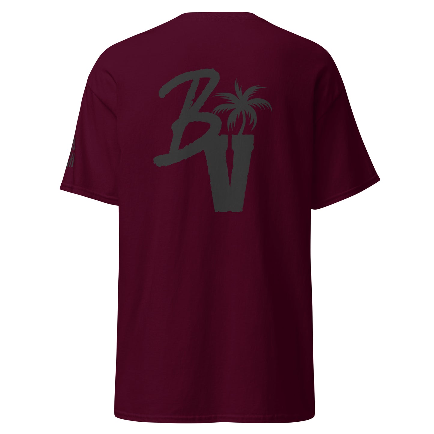 Billionaire Vibe$ by Young & Rich Men's classic tee